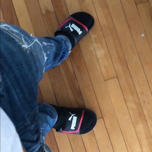 Meet your Posher, Tony - Picture 1 of 1